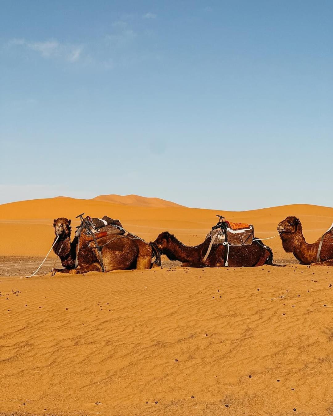 Merzouga Morocco Desert Luxury Camp Exterior foto